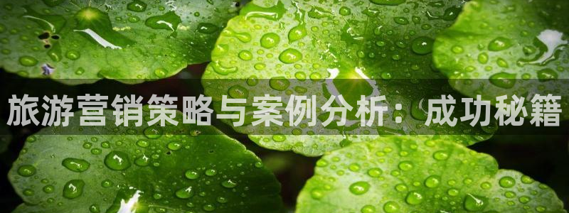 必赢下载地址