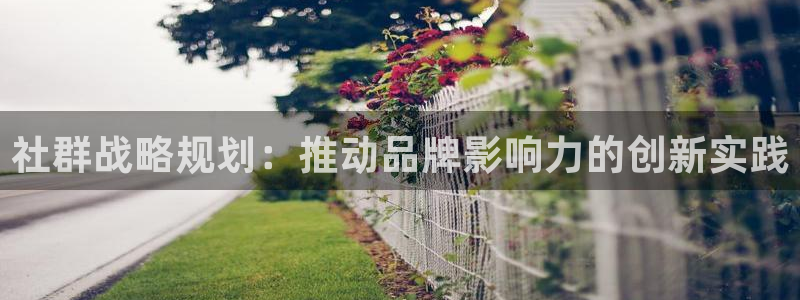 9965必赢棋官方网站怎么样