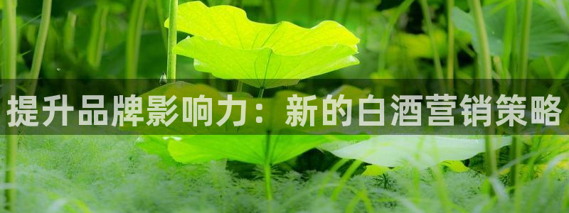 必赢72886网址多少啊
