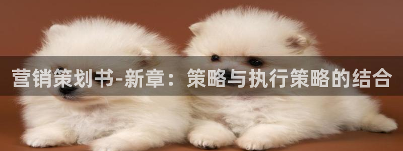 必赢官网入口下载