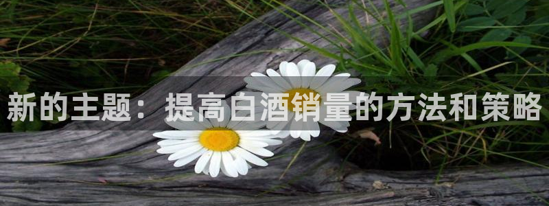 必赢72886后面字母是多少