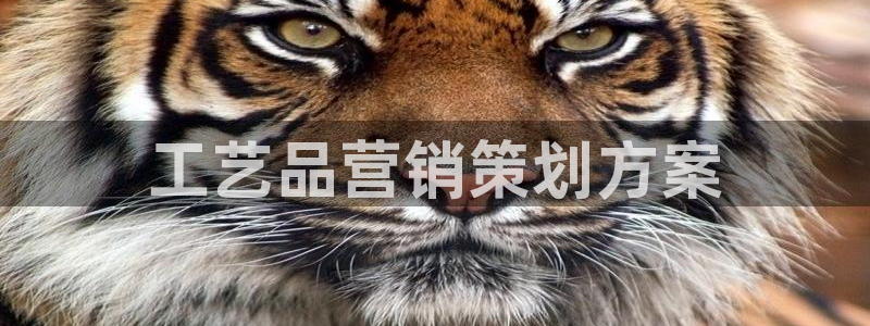必赢宝app软件下载