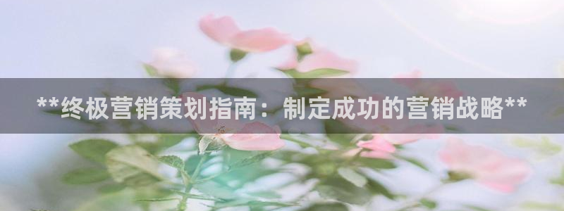 必赢88