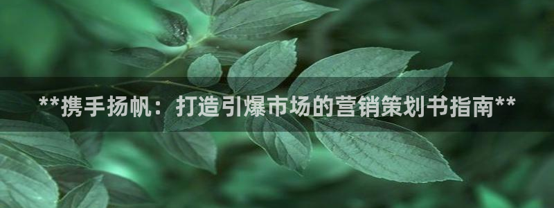 必赢下载ipad