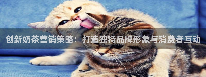 必赢首页