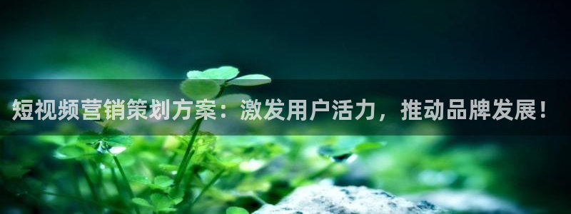 必赢公司是怎样的一家企业