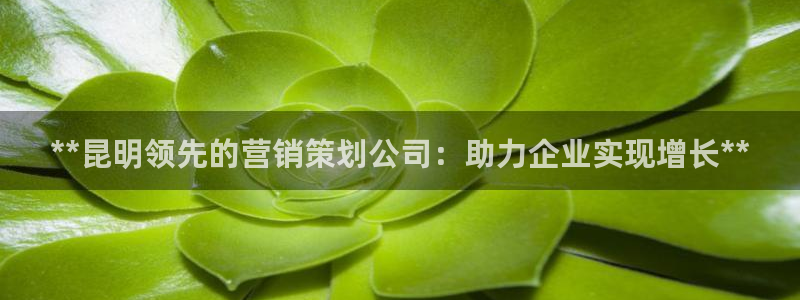 必赢必赢