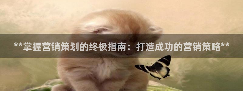 必赢亚赢网站官网下载安装手机版