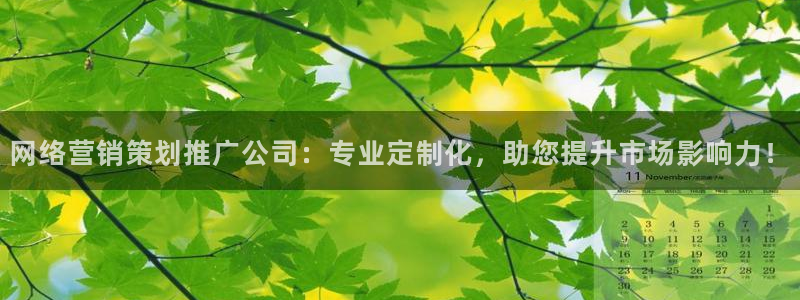 必赢最新