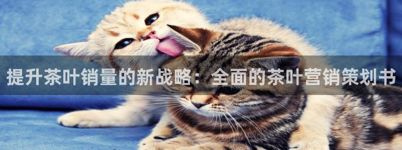 95必赢网址多少