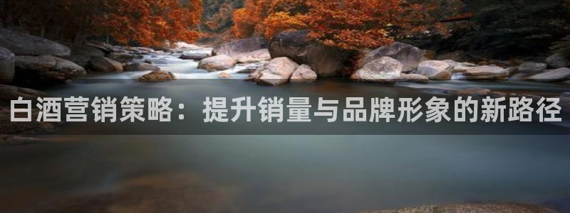 必赢手机版app下载官网