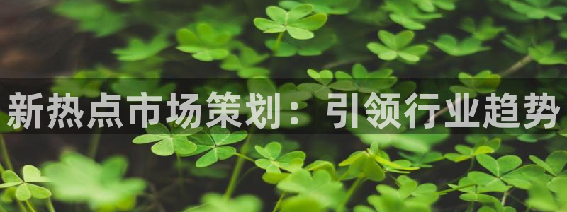 必赢下载软件