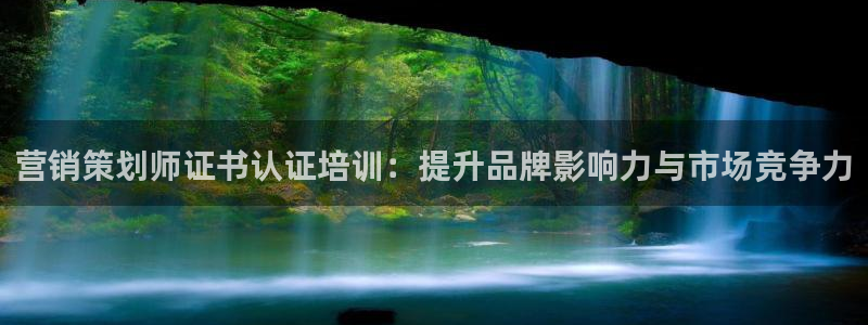 必赢网怎么打不开了呀