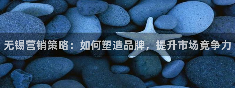 必赢官网app下载安装最新版本