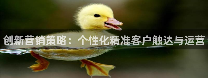 必赢437官网