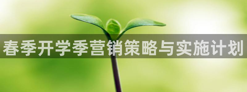 必赢集团网站是什么