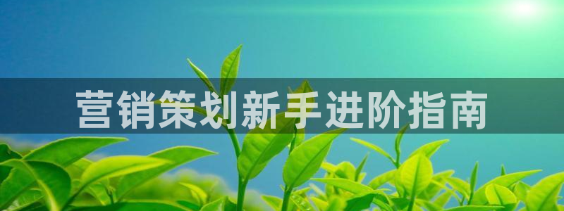 必赢科技