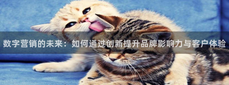 必赢3003am