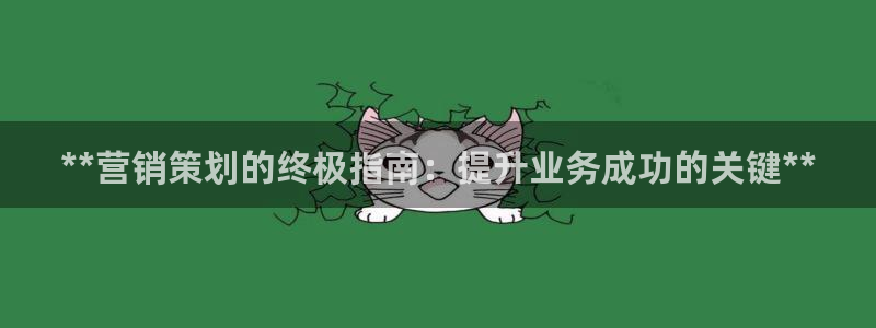 必赢网怎么打不开了