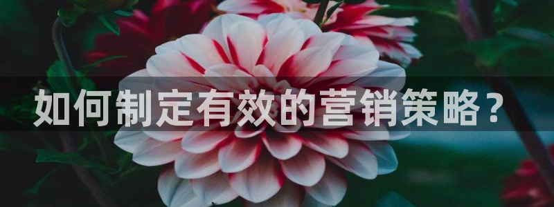 必赢平台官方电话