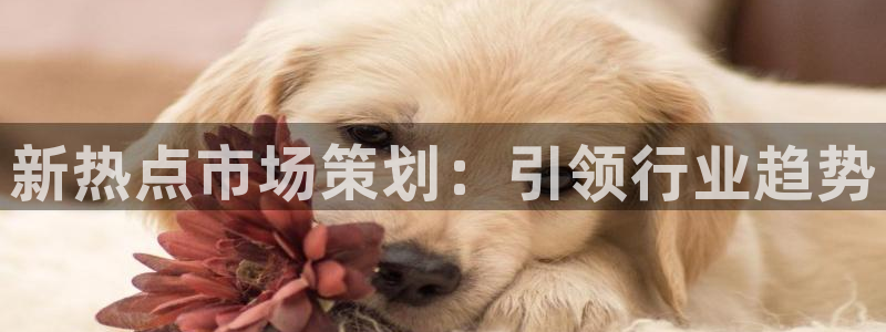 必赢亚赢网站官网下载安装最新版