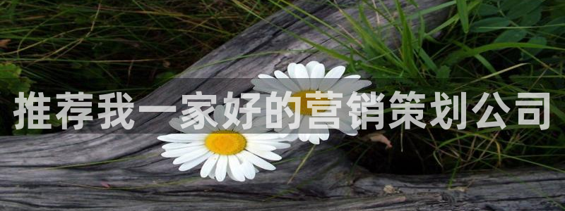 必赢首页