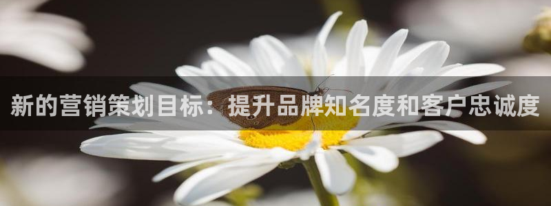 必赢线上网址