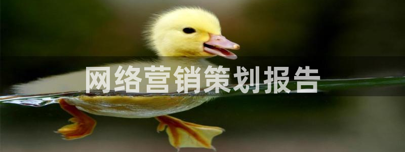 必赢这个平台怎么样啊