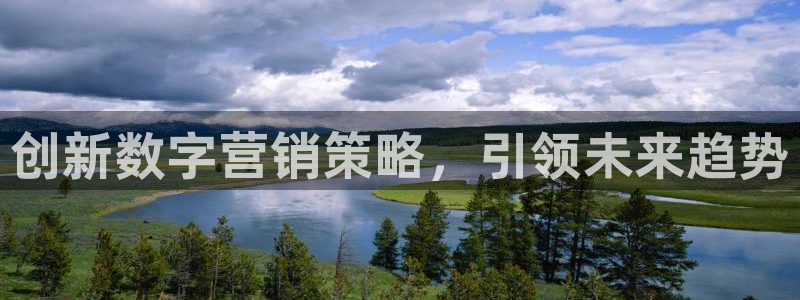 必赢网站是哪一个
