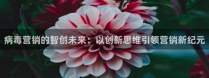 必赢平台网站多少
