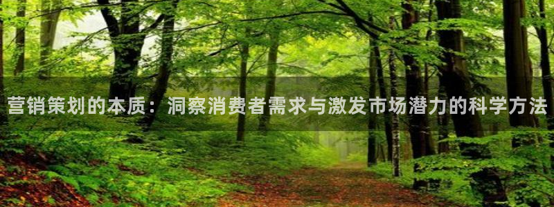 必赢网络游戏平台