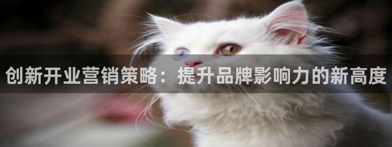 必赢官网下载安装app