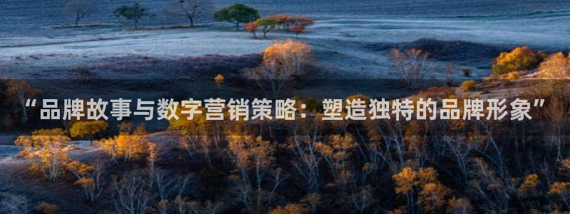 必赢账号