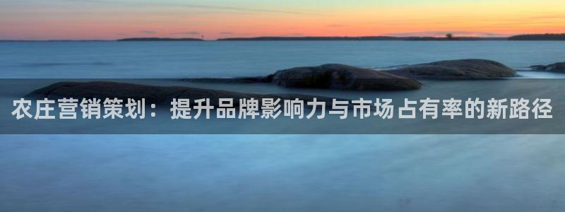 必赢net.95