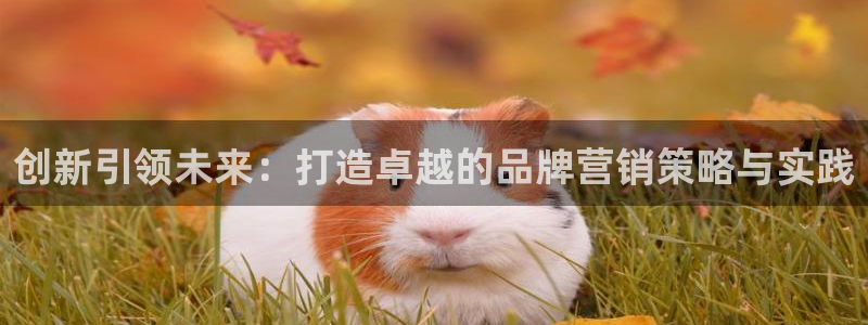 必赢集团