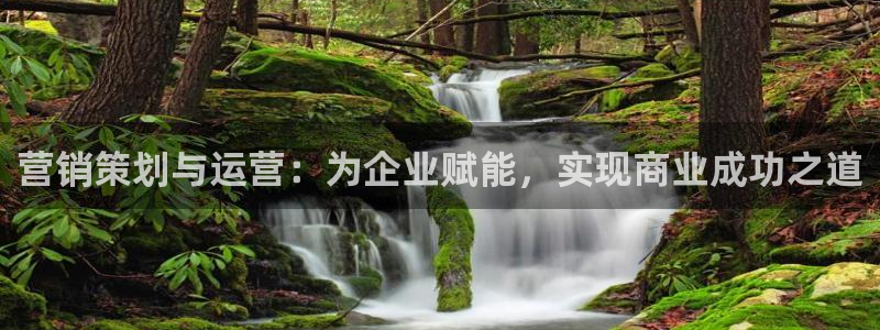 必赢网站是多少啊