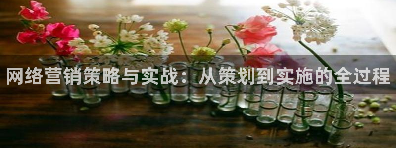 必赢平台官方下载：网络营销策略
