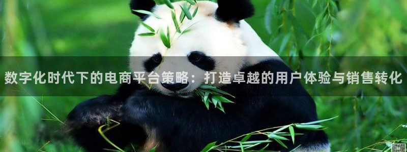必赢网站网址是多少：数字化时代