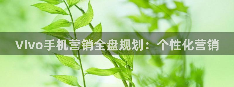 必赢手机版网站多少