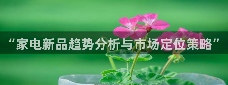 必赢官网入口下载安装