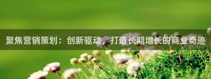 必赢必赢