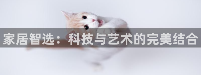 必赢亚赢网站官网下载手机版安装