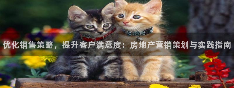 必赢国际437pay,comapp