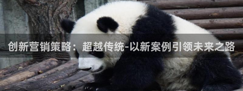 必赢516net怎么进