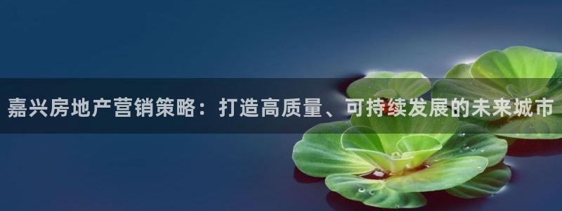 必赢下载ipad
