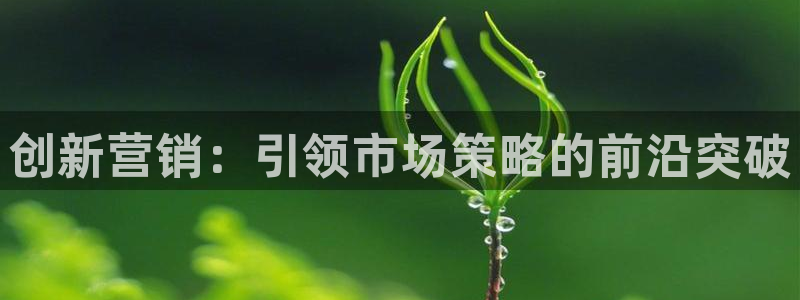 必赢集团怎么样