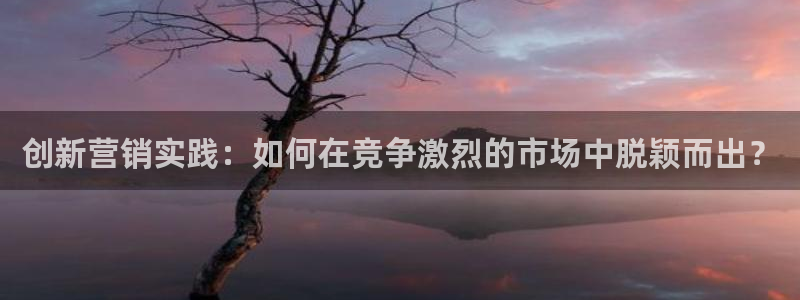 必赢手机版