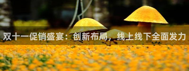 必赢国际437网页版