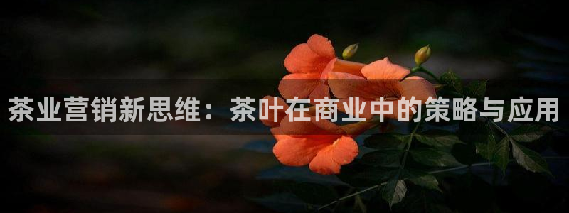 必赢网站是哪一个公司的
