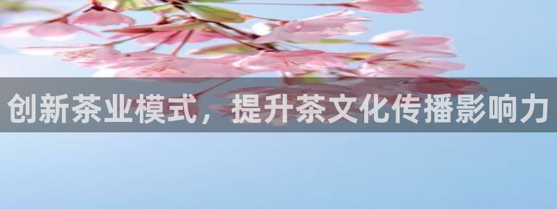 必赢官网网址多少